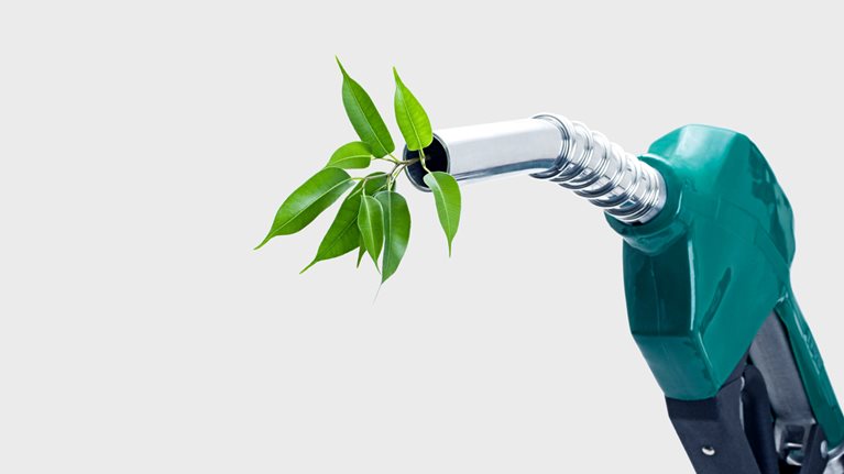 A green gas nozzle is shown against a light gray background with a leafy green plant coming out of the metal nozzle. 